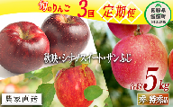 旬のりんご  秀 ～ 特秀 5kg × 3回 渡辺農園 沖縄県への配送不可 2023年10月上旬頃から2023年12月中旬頃まで順次発送予定 令和5年度収穫分 エコファーマー認定 減農薬栽培 長野県 飯綱町 [0805]