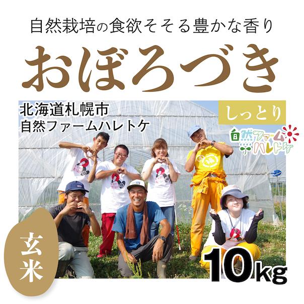 玄米10kg「自然栽培おぼろづき」(北海道)自然ファームハレトケ　令和5年産