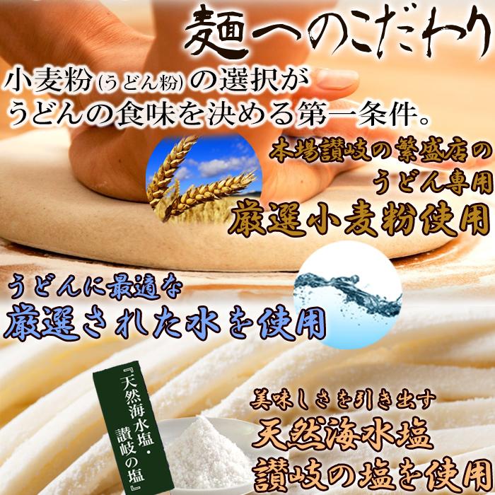 讃岐の製麺所が作る、レンジで簡単！辛すぎないスパイシーな カレー うどん 4食(180g×4) うどん カレー