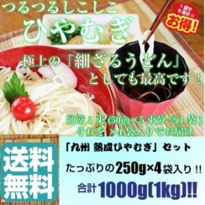 ひやむぎ 冷麦 お取り寄せ 九州 熟成ひやむぎ 1,000ｇ たっぷり１キロ 約8人前 1袋(250ｇ)×4袋 セット 細うどん 保存食 乾麺 備蓄食