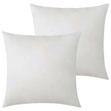 KUIBAO 快豹生活 Eii低調輕奢抱枕枕芯 台灣製 2個  50 x 50cm  白色