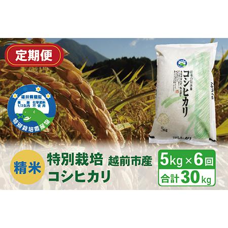 ふるさと納税 〈先行予約〉（令和5年度新米 精米）特別栽培 越前市産コシヒカリ 5kg×6回 福井県越前市