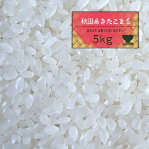 新米 米 5kg 精米 5年産 秋田県産 あきたこまち 白米5kg 送料無料 秋田こまち