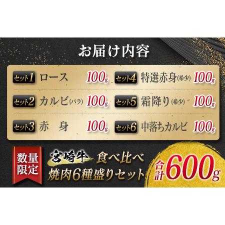 ふるさと納税 数量限定≪特選≫宮崎牛食べ比べ焼肉6種盛りセット(合計600g)　 肉　牛　牛肉 EB6-21 宮崎県日南市