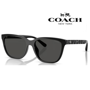COACH 亞洲版 時尚太陽眼鏡 精緻立體鏡臂設計 HC8429D 500287 黑框深灰鏡片 公司貨