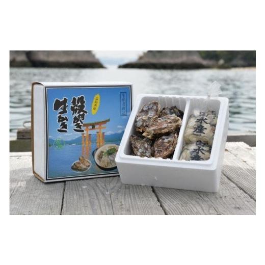 ふるさと納税 広島県 廿日市市 島田水産　Shimada　Oyster　生かき1ｋｇ（500ｇ×2） 殻付き10個（加熱用）