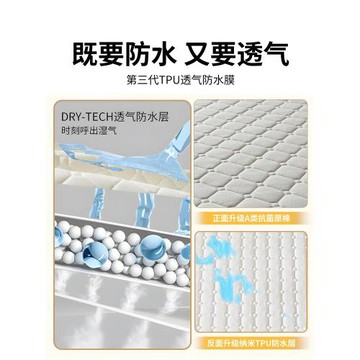加厚夾棉床笠單件防水隔尿透氣可機洗2025新款四季通用床墊保護罩