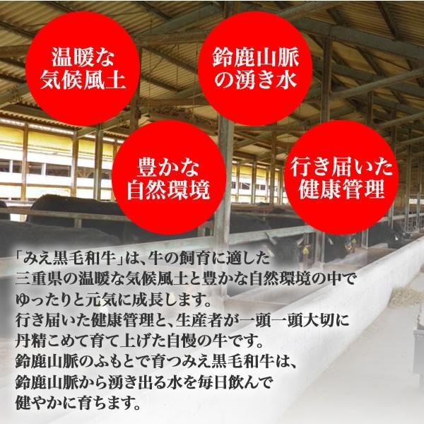 みえ黒毛和牛モモブロック＜300g＞ 三重県 ブランド牛 黒毛和牛 モモ ローストビーフ 煮込み料理