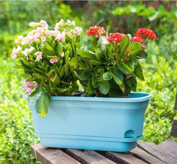 種菜盆 懶人花盆陽臺種菜盆自動吸水蓄水長方形塑料花盆含免托盤