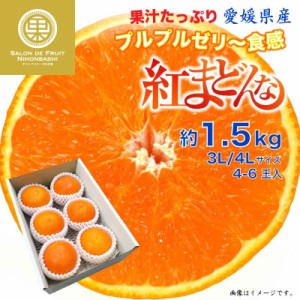 [予約 12月10日-12月25日の納品] 紅まどんな 約1.5kg 3L 4L 愛媛県 化粧箱 お歳暮 御歳暮 冬ギフト