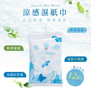 涼感濕紙巾 涼感濕巾 涼感紙巾 薄荷濕紙巾 薄荷濕巾 降溫濕巾 提神紙巾 濕紙巾 紙巾 濕巾 消暑小物  B118