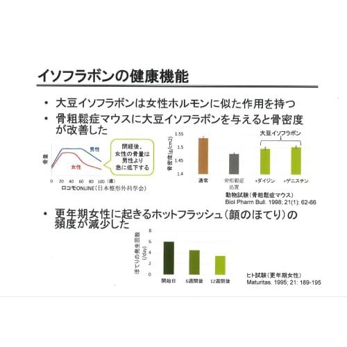 大豆ミート ミンチ タイプ 畑のお肉 国内製造 500g