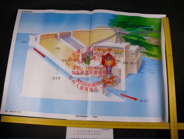 能量、能量的轉化和轉移 初中物理教學掛圖 實驗器材中學教學儀器