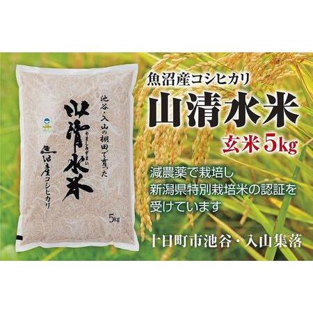 ふるさと納税  新潟県魚沼産コシヒカリ「山清水米」玄米５kg 新潟県十日町市