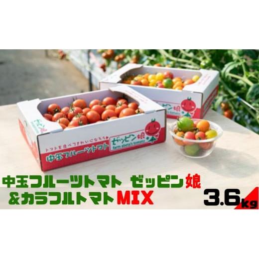 ふるさと納税 茨城県 結城市 中玉フルーツトマト「ゼッピン娘」＆カラフルトマトMIX 1.8kg×各1箱（計3.6kg） 希少な品種 華おとめ 甘い カラフル 詰め合わせ …