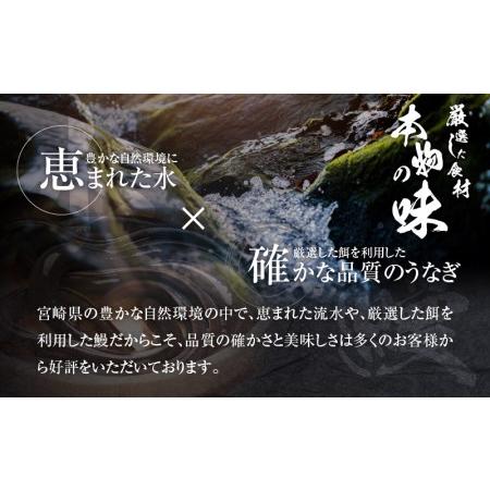 ふるさと納税 食べやすくきざんだ国産うなぎ蒲焼き　5食セット 宮崎県宮崎市