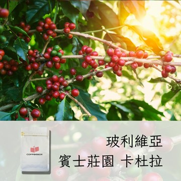 玻利維亞 賓士莊園 卡杜拉 水洗 淺焙 (半磅)【柏克斯咖啡】