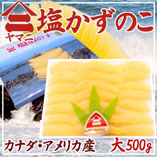 北海道 井原水産 ”ヤマニ 塩数の子” 大 約500g 化粧箱 カナダ・アメリカ産 塩かずのこ 送料無料