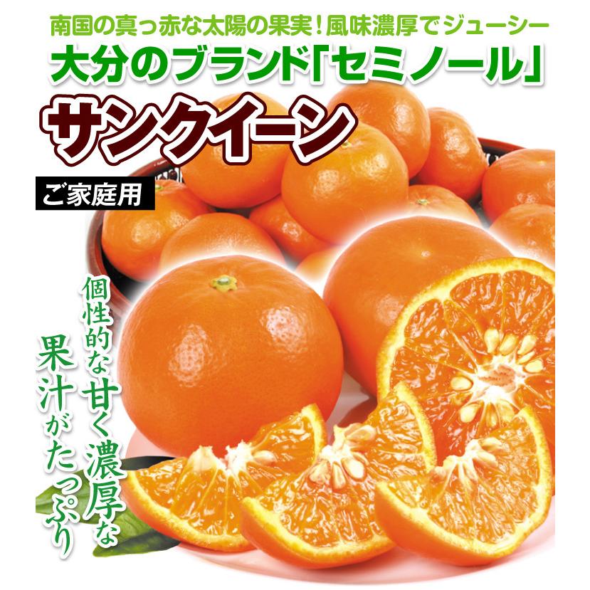 みかん 10kg サンクイーン 大分産 送料無料 食品