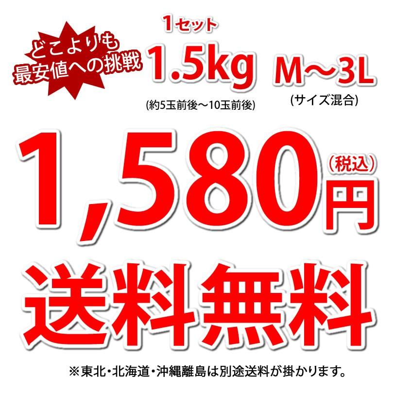 デコポン 同品種 デコみかん 訳あり 送料無料 ハウス栽培 1.5kg 2セット購入で1セットおまけ 3セット購入で3セットおまけ みかん 熊本県産 不知火 ミカン 蜜柑