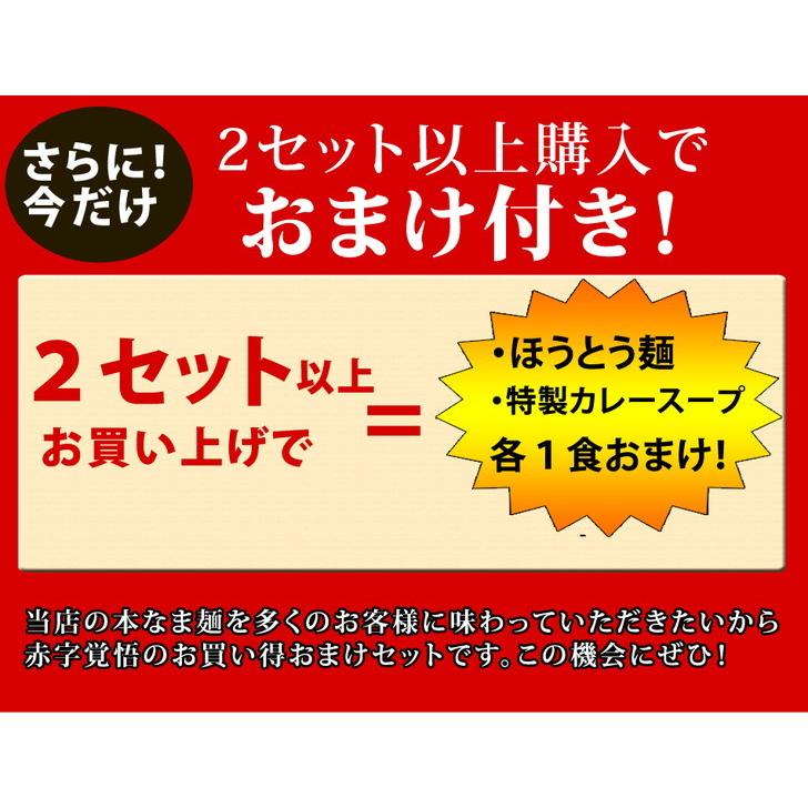 送料無料 本なま麺　ほうとう　特製カレースープ　3食セット