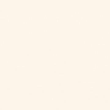 中山國小捷運*中山北3房豪邸面公園樹海+陽台✨｜台北市中山區中山北路二段