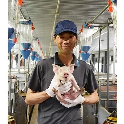 ふるさと納税 四万十町 平野協同畜産の焼き肉セット(麦豚ロース肉1.1kg)