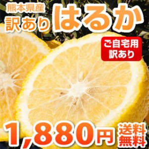 みかん  訳あり はるか 熊本県産 5kg 2セット購入で1セット分おまけ みかん ミカン 蜜柑