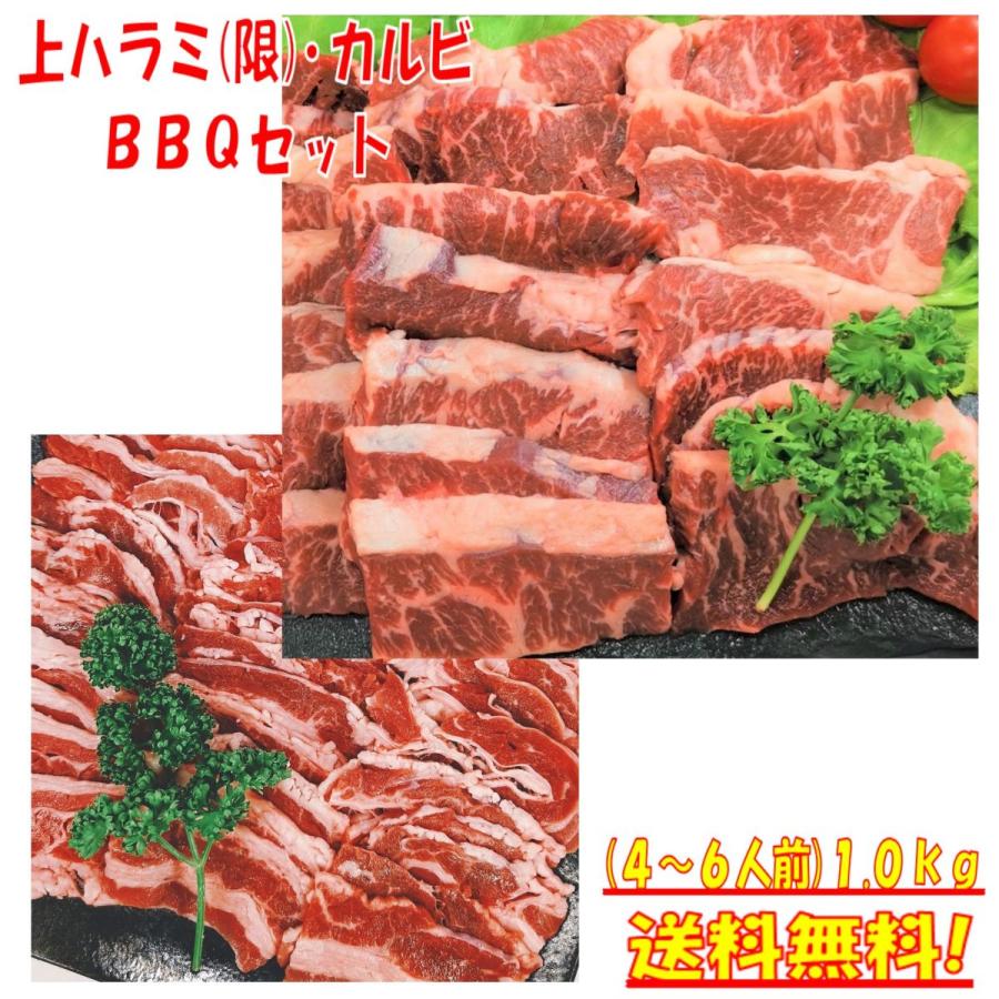 肉 牛肉 焼肉セット ハラミ バーベキュー 食材 バラ カルビ 上ハラミ バーベキューセット 食材 肉 BBQ食材セット BBQ 食材 焼肉 牛丼 1kg  4〜6人前