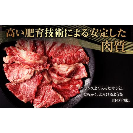 ふるさと納税 熊本県産黒毛和牛 焼肉 カルビ 切り落とし 約600g(300g×2パック) 牛肉 肉 熊本県水俣市