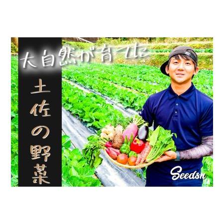 ふるさと納税 新鮮野菜BOX(味わいセット）8〜12種 高知県香美市