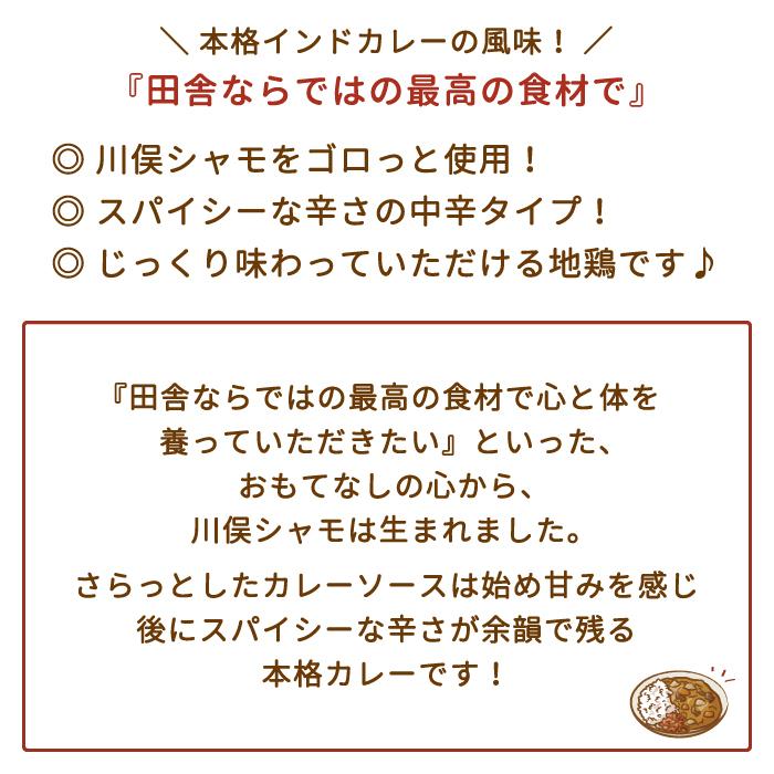 福島県・あぶくま地鶏 川俣シャモ スパイスカレー〈中辛〉×2箱*　お土産　おみやげ　グルメ　福島郷土料理　非常食　送料無料