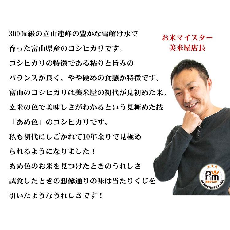 新米 お米 10kg 白米 送料無料 白米 コシヒカリ 5kg×2袋 富山県産 令和5年産 お米 あす着く食品 北海道・沖縄は追加送料