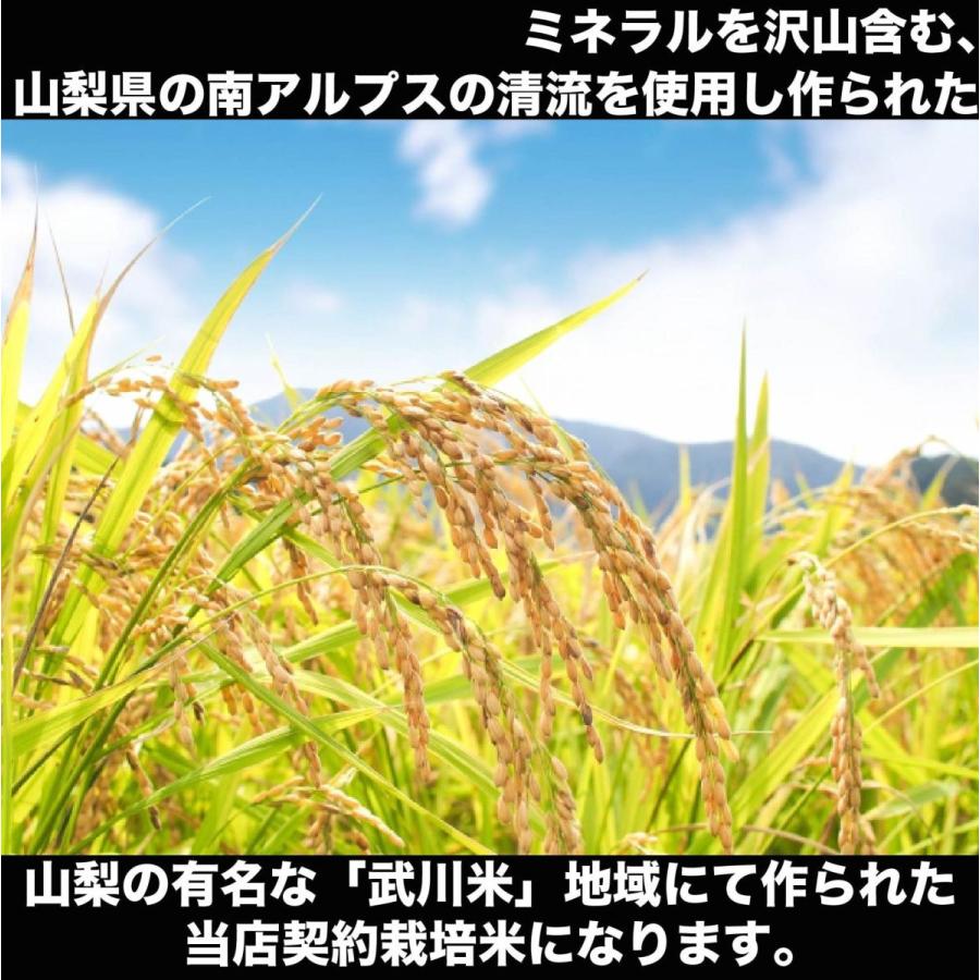 武川米 こしひかり　令和5年産　新米　　コシヒカリ　10kg　送料無料　人気商品　当日発送　令和３年産　山梨県産　ブランド米　国内産　国産