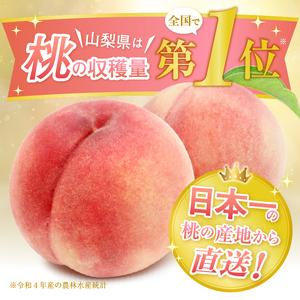 ふるさと納税 山梨県甲州市産 完熟桃 白鳳系 約1kg（3〜5玉）（SHP）B-454 山梨県甲州市