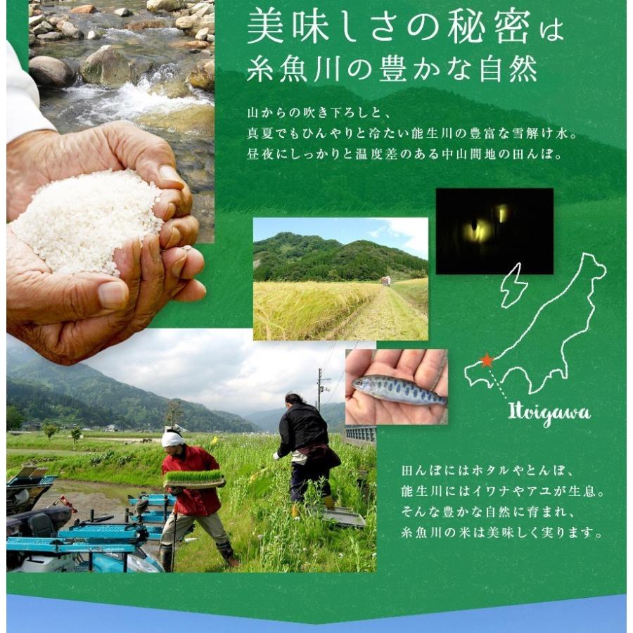 新米 令和5年産 米 お米 10kg こしいぶき 5kg×2 白米 新潟 送料無料 糸魚川 能生米 農家直送  精米