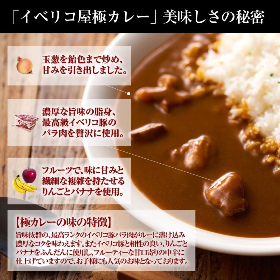 イベリコ豚 極 カレー 1人前 高級 レトルトカレー 中辛 ポークカレー 常温 イベリコ屋