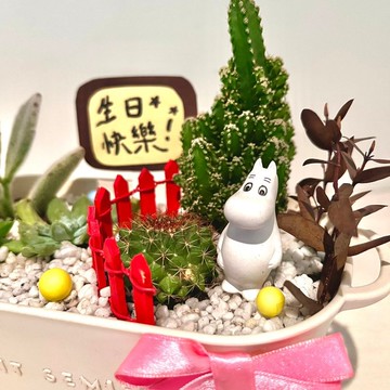 嚕嚕米Moomins 姆明 多肉組盆 微景觀盆栽 多肉盆栽 送禮 Muumi