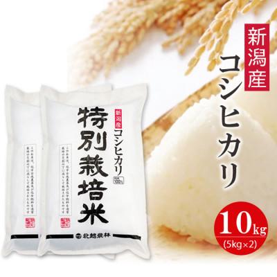 ふるさと納税 新潟県 新潟産コシヒカリ 特別栽培米10kg 令和5年産