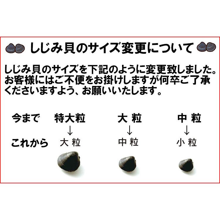 しじみ 十三湖 青森県産 中粒 冷凍 しじみ貝 1kg入り お中元 御中元 2023