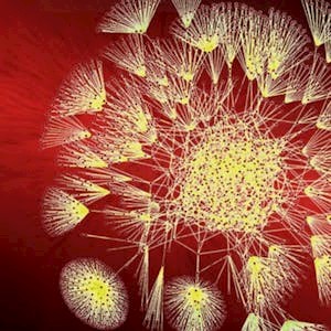 Big Data Integration and Processing