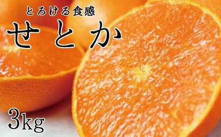 せとか 果物 フルーツ くだもの みかん   とろける食感！ジューシー柑橘 せとか 約3kg ※2024年2月下旬頃～2024年3月上旬頃発送(お届け日指定不可)