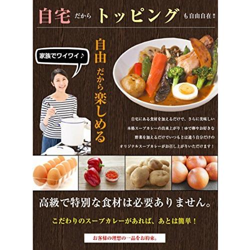  スープカレー レトルト 北海道 スパイシー チキンスープ カレー ゴロっと具材 常温 札幌