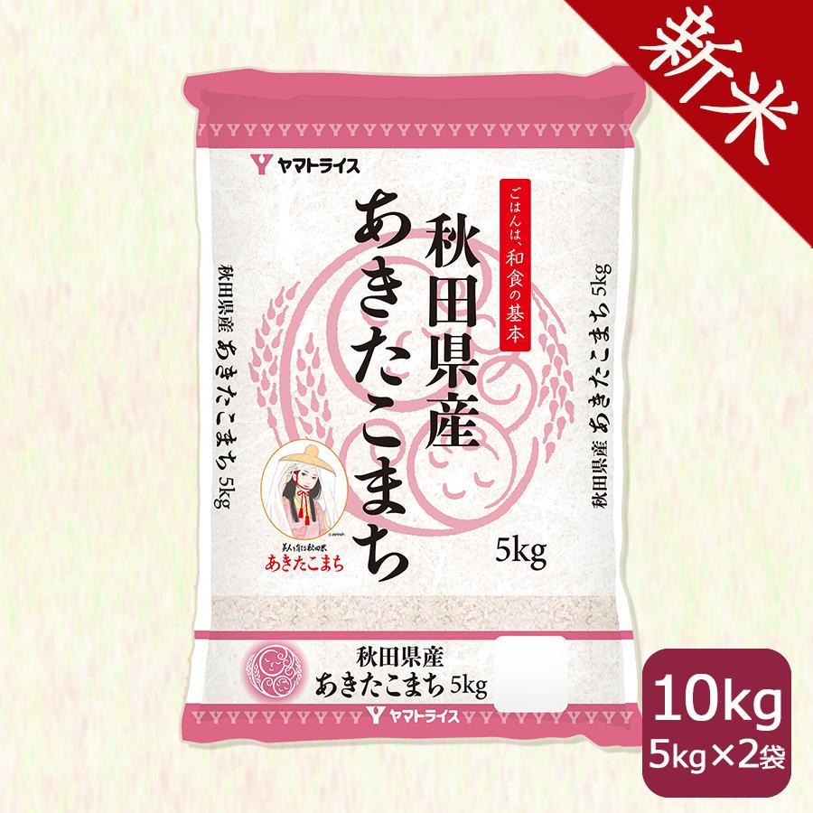 米 お米 あきたこまち 10kg 秋田県産 白米 5kg×2 令和5年産