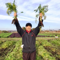 寒締フルーツにんじんジュース～大地の恵み～旬な有機野菜２種類つき！[AL002ci]