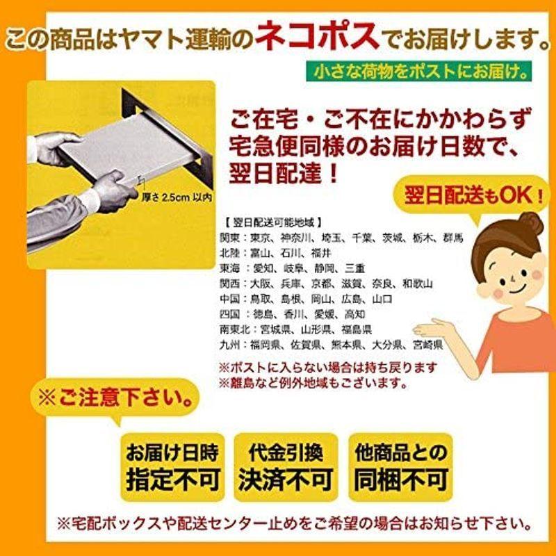 ふみこ農園 紀州南高梅入り 梅そば 500g 梅香るさっぱりとしたざるそば（ご家庭用 5人前 めんつゆ付）