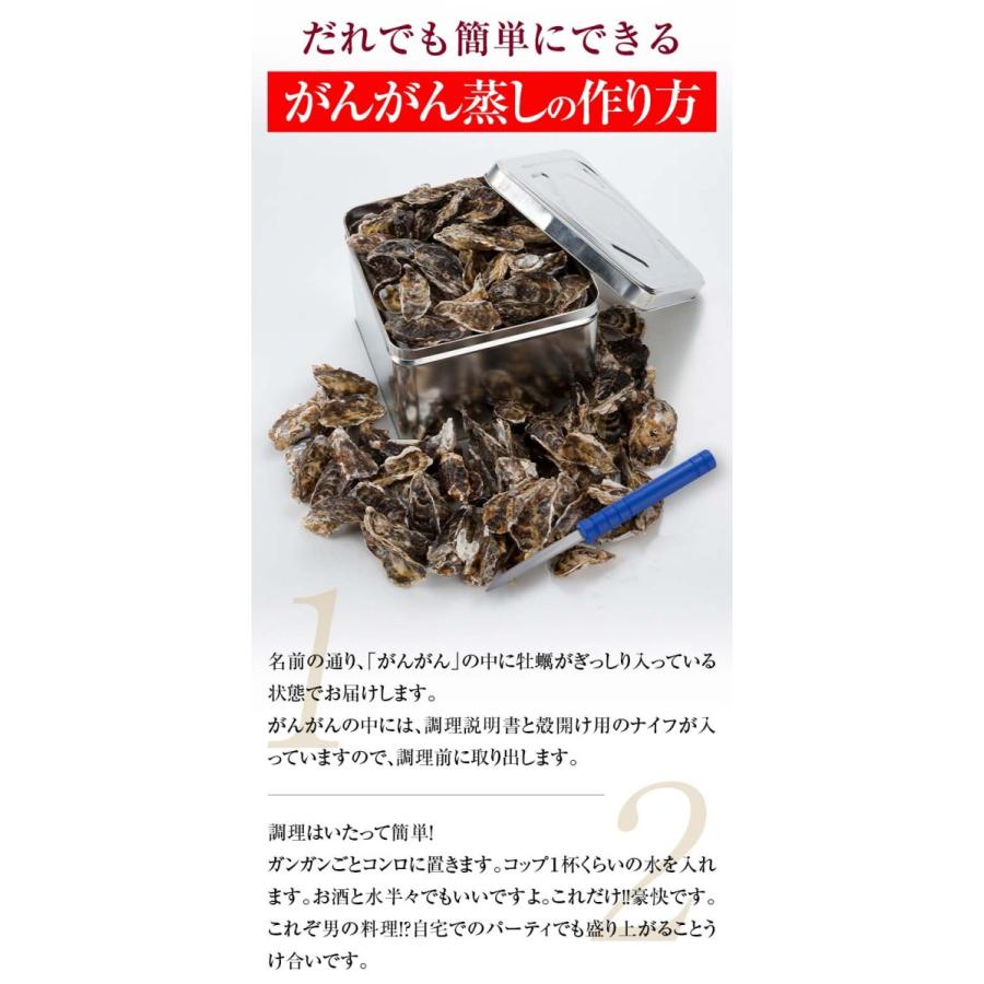 (送料無料)牡蠣のがんがん蒸し 2kg前後（中型）殻付き 生牡蠣 生食 北海道産 カンカン焼き グルメ カキ