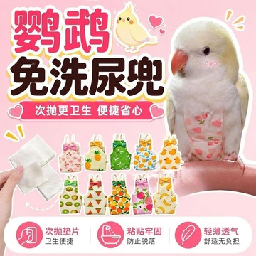 ⚡臺灣倉出⚡優選⭐鸚鵡尿不溼屎兜鸚鵡專用一次性拉屎神器牡丹虎皮小太陽玄鳳藍和尚