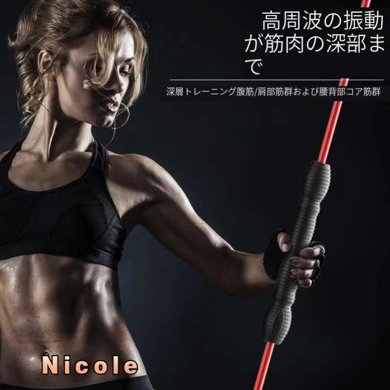 エアロバー エクササイズ フィットネス トレーニング 筋トレ