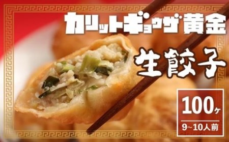 カリットギョウザ生餃子100ケジューシー